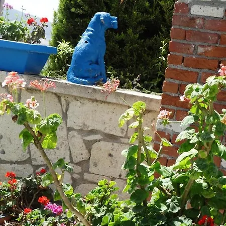 מלון Surya Butik אלאקאטי