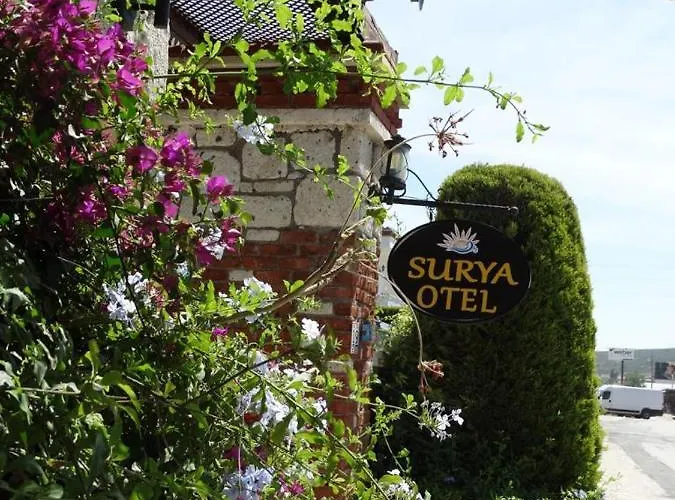 Surya Butik 호텔 알라카티