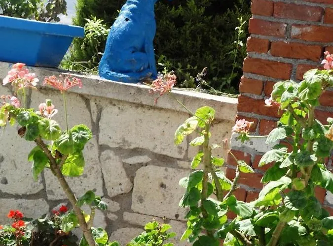 호텔 Surya Butik 알라카티